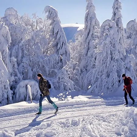 Confort Aloya Domek alpejski Ranspach