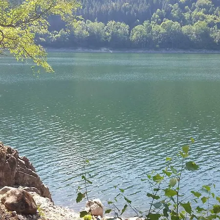 Confort Aloya Chalet Ranspach