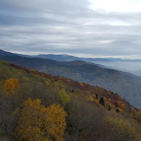 Confort Aloya Domek alpejski