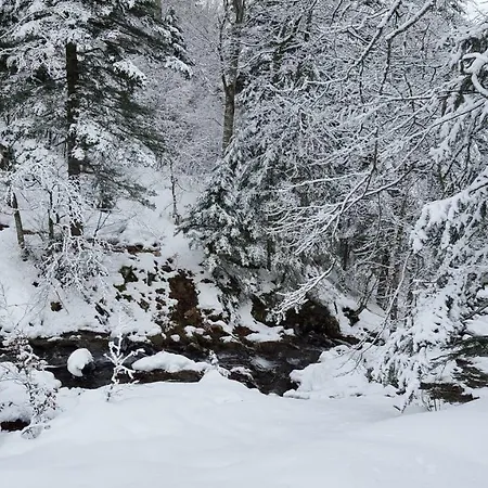 Domek alpejski Confort Aloya Ranspach