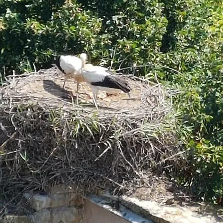 Confort Aloya * Ranspach