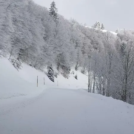 Domek alpejski Confort Aloya Ranspach